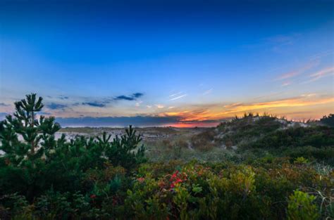 Fire Island Ny Stock Photos Pictures And Royalty Free Images Istock