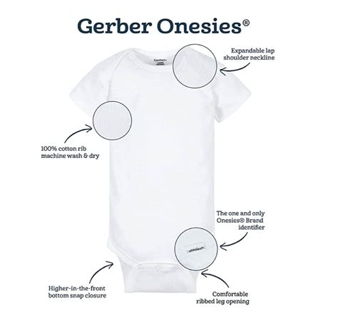 My Big Brother Sister Is A Border Collie Baby Onesie Etsy