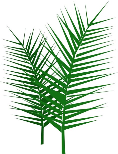 All palm sunday clip art are png format and transparent background. palm sunday