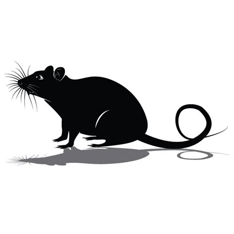 Rat Silhouette Clip Art Royalty Free Stock Svg Vector And Clip Art