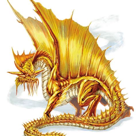 Gold Dragon Forgotten Realms Wiki Fandom Powered By Wikia Gold