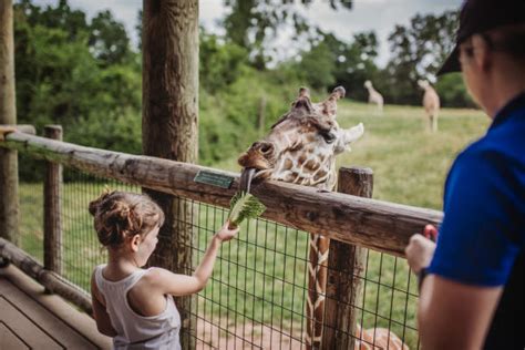 New At The Fort Wayne Childrens Zoo In 2018 Visit Fort Wayne