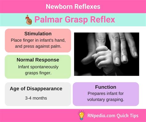newborn reflexes rnpedia