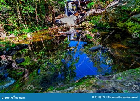 Beautiful Tropical Rainforest And Stream In Deep Forest Phu Kradueng