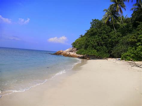 Lang Tengah Turtle Watch Pulau Lang Tengah All You Need To Know