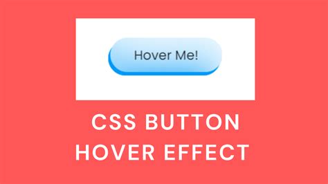 Css Button Hover Effect Button Hover Effect Code With Random