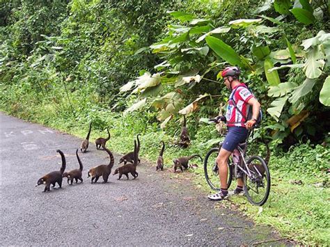 Coast To Coast Cycling Holiday In Costa Rica Responsible Travel