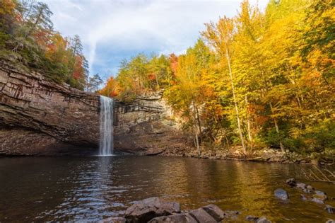 Most Tennessee State Parks Reopen | Sportal - World Sports News