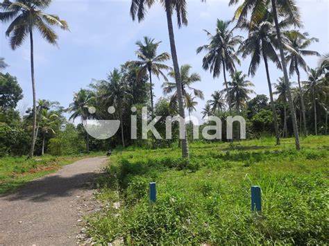 Land For Sale In Polgahaweala Kegalla Road Ikman