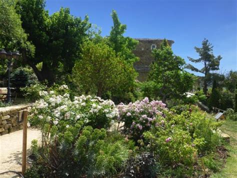 The Most Beautiful Parks And Gardens In Provence