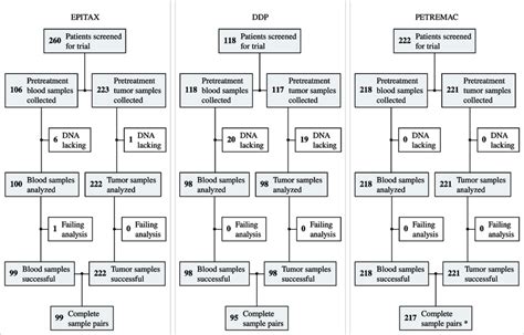 Consort Diagram Depicting Patient Enrolment In The Epitax Ddp And