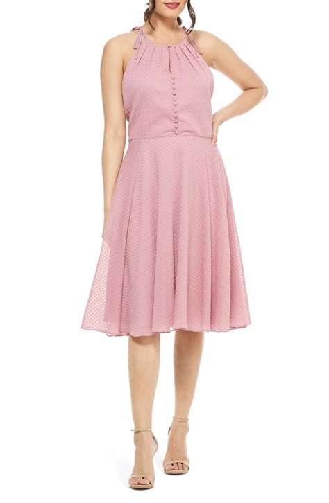 Gal Meets Glam Collection Lenore Embroidered Chiffon Dress Nordstrom