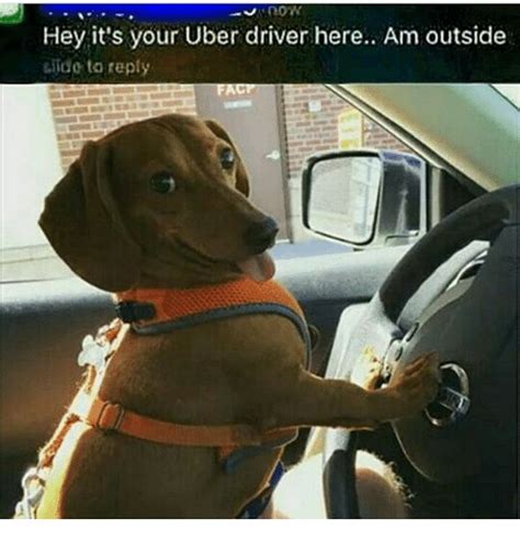 Hey Its Your Uber Driver Here Am Outside Lido To Reply Fact Facts Meme On Meme