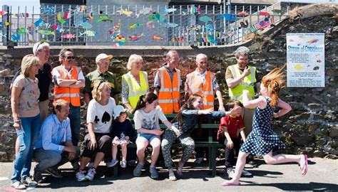 The Greystones Guide Junior Tidy Towns First Meeting