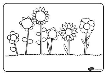 In this coloring page, barry's parents and his friend adam are relaxing by the pool of honey! Flowers Colouring Sheets by Twinkl Printable Resources | TpT