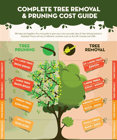 Tree Removal Cost Guide Summer 2024
