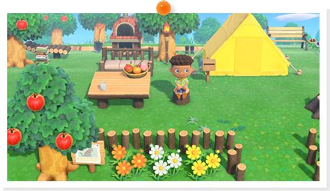 Diy For Beginners Animal Crossing The Beginners Guide To Conversion