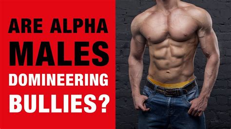 Why Societys View Of ‘alpha Males Is Wrong And What An Alpha Male