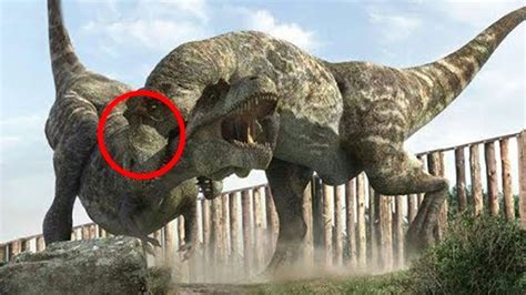 Top 10 Terrifying Facts About Dinosaurs