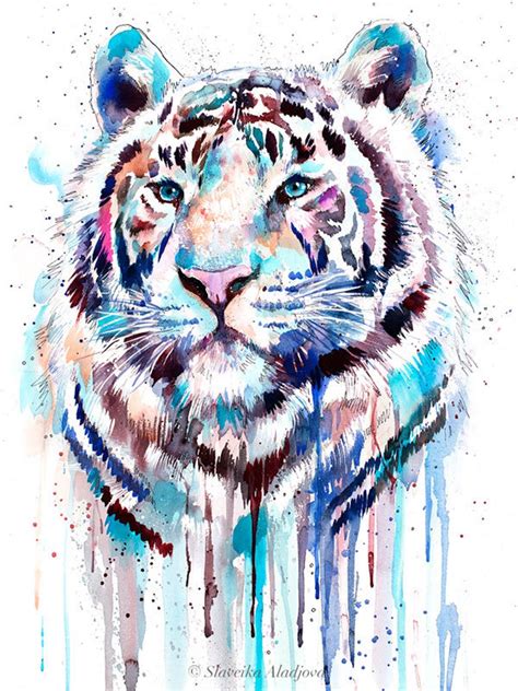Peinture D Aquarelle De Tigre Blanc Par Slaveika Aladjova Etsy Canada
