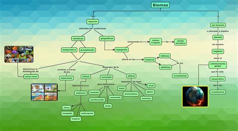 Mapas Conceptuales Biomas Tipos De Ecosistemas Ecosistemas Images Hot