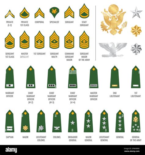 Military Ranks Shoulder Badges Army Soldier Chevron Straps Vector