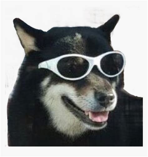 Dog Meme Funny Puppy Sunglasses Freetoedit Dog Meme Png