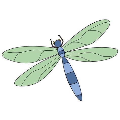 How To Draw A Dragonflies Countermention