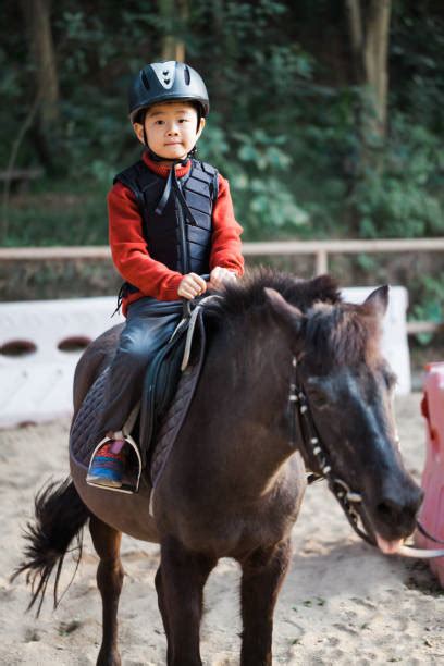 Chinese Horse Riding Stock Photos Pictures And Royalty Free Images Istock