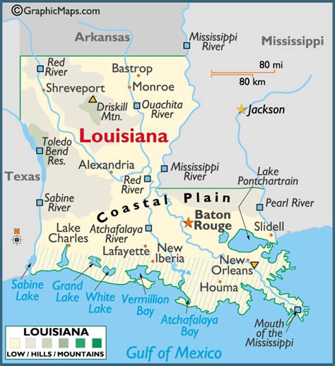 Louisiana State Naseo