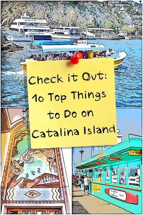 10 top things to do on catalina island catalina island catalina island california santa