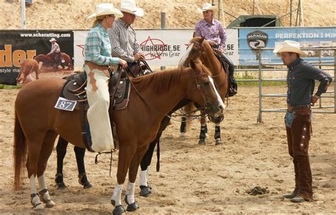 Free Images Rider Rein Stallion Cowboy Mare Riders Rodeo