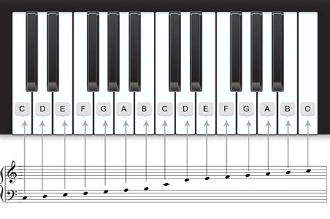 How Staff Notes And Piano Keyboard Are Related Piano Keyboard