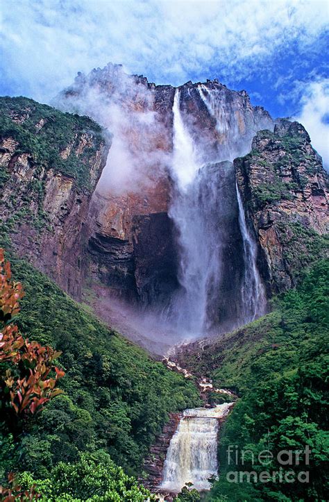 Angel Falls In Canaima National Park Venezuela Photograph By Dave