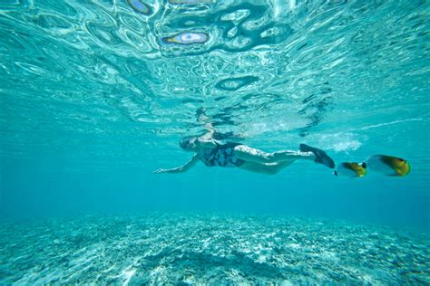 Top Tips For Snorkeling In The Maldives Accor
