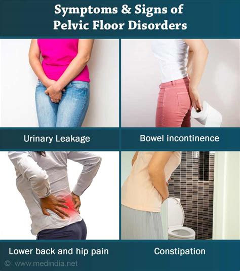 Understanding Pelvic Floor Muscle Spasms What Do They Feel Like