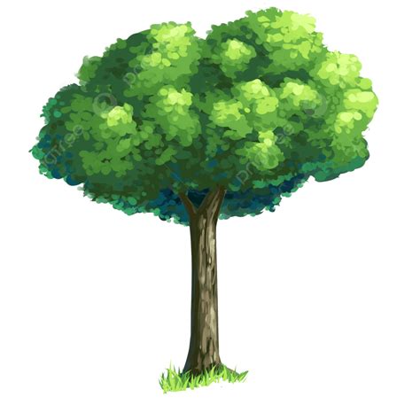 手繪卡通樹木元素 卡通手繪 小清新 樹素材圖案，psd和png圖片免費下載