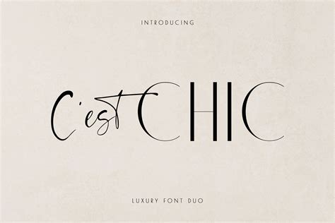 Chic Luxury Font Duo Signature Font Duo Classy Sans Serif Font