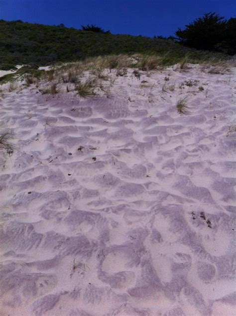 Purple Sand Pfeiffer Beach Ca Travel Pinterest