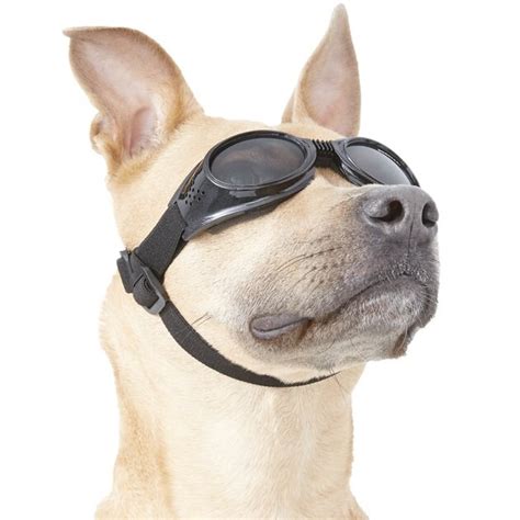 Doggles Originalz Dog Goggles Black Medium
