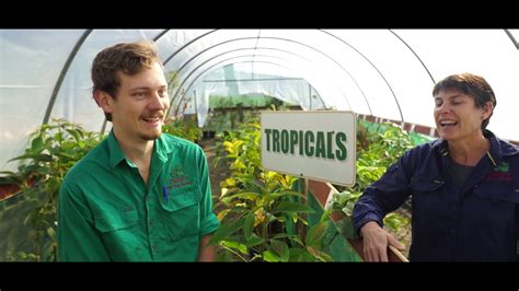 In addition, we offer expert advice and tips and tricks to ensure the success of your home orchard. Daley's Fruit Tree Nursery introduces Caleb - YouTube