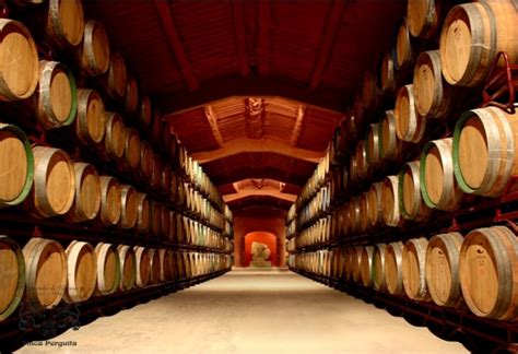 Tierra De Estella Wine Region In Navarra Spain
