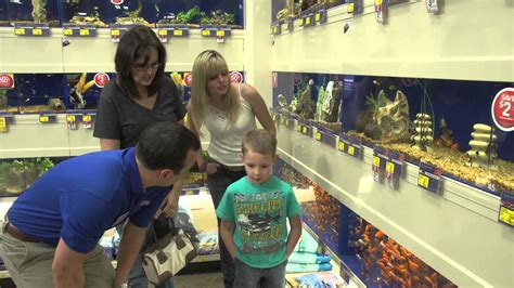 Day in the Life of a Pet Care Manager at PetSmart - YouTube