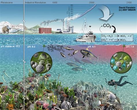 Ocean Acidification Earth 103 Earth In The Future