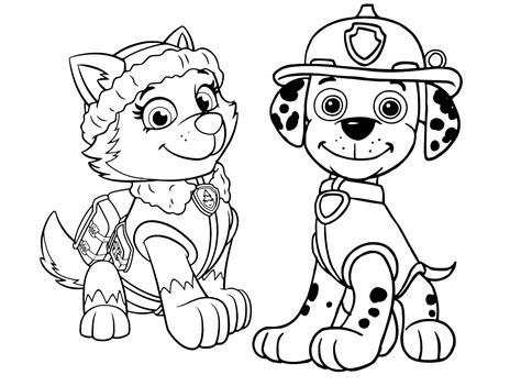 A team of brave puppies together with a smart boy ryder carry out. Everest Paw Patrol Coloring Lesson | Kids Coloring Page ...