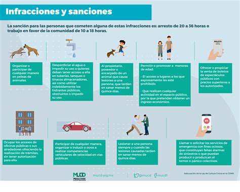 Tipos De Infracciones Y Su Clasificaci N Certificaciones Mensuales