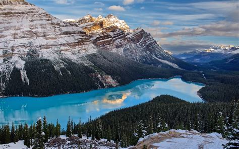 Mountains Landscape 1080p Forest Canada Turquoise Peyto Lake