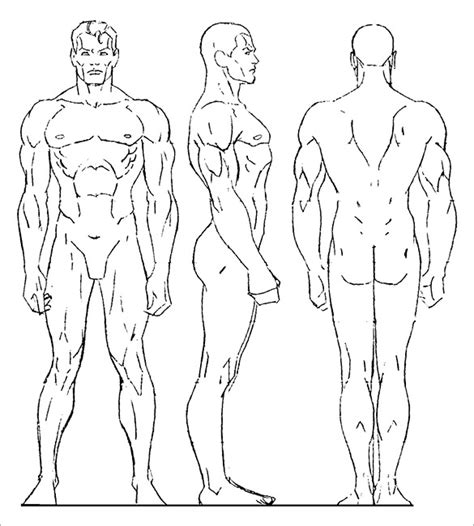 Female Body Drawing Template At Getdrawings Free Download