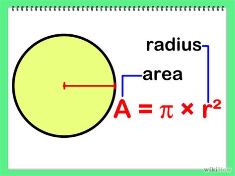 Features Of Circles Area And Circumference 8 Alamandamaths