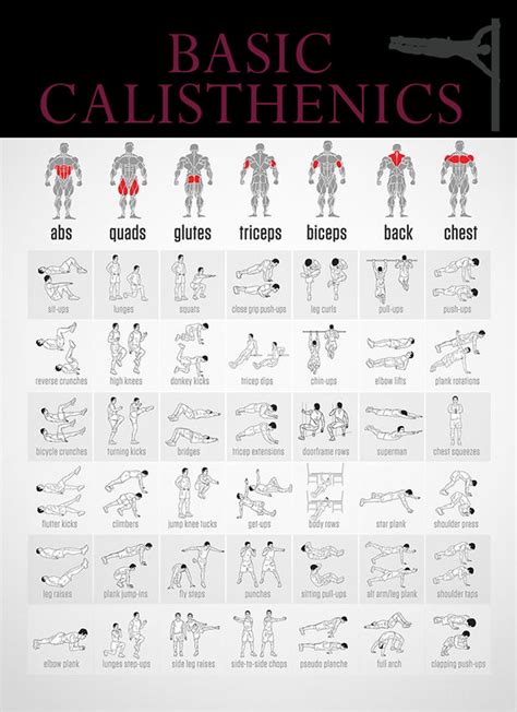 basic calisthenics